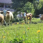Heutauer Hof *
