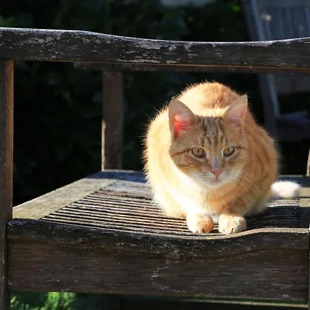 Heutauer Hof * Siegsdorf