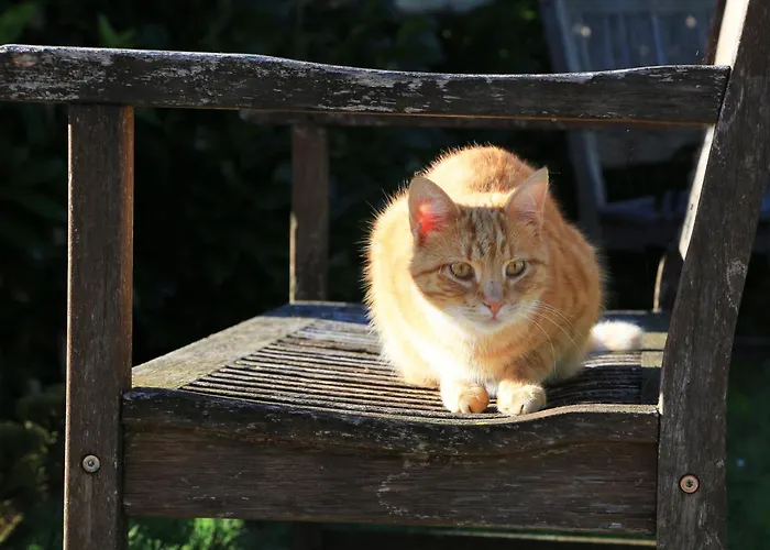 Heutauer Hof * Siegsdorf